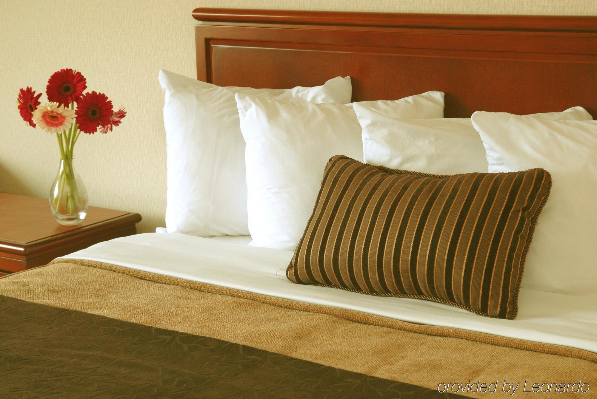 Hotel Doubletree By Hilton St. John'S Harbourview Habitación foto